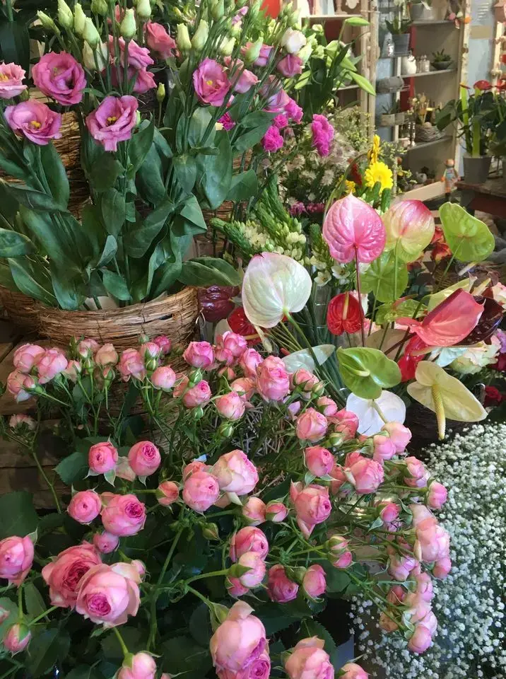 Boutique Cranou Fleurs au Faou - Créations et compositions florales